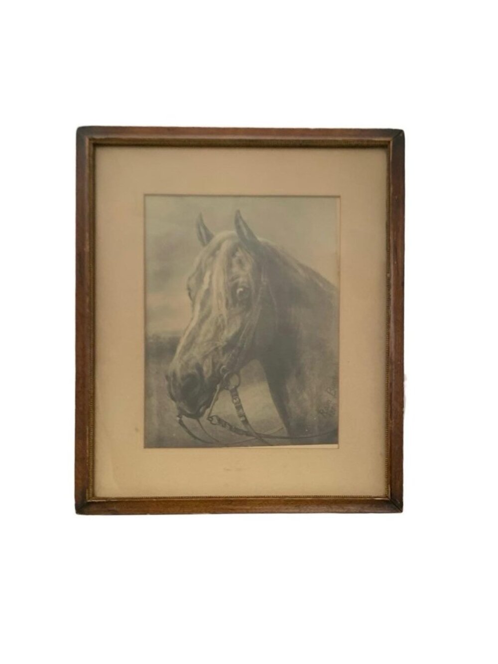 Antique Rosa Bonheur 1880 Horse Portrait Print Framed Equestrian Art